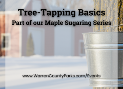 tree tapping